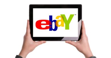 A Realistic Assessment of Earning Income on eBay