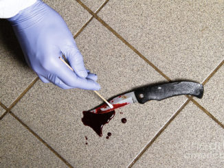 Differences Between Organic & Inorganic Forensic Evidence