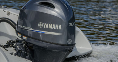 DOWNLOAD Yamaha 40hp (40 hp) Repair Manual PDF