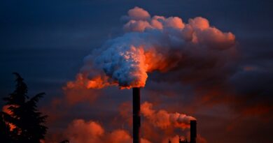 The Kyoto Protocol is a Treaty to Reduce Greenhouse Gasses