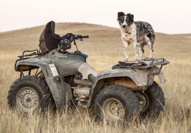 Troubleshooting Guide, Why Your ATV Won't Start