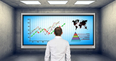 The Boston Consulting Group Matrix (BCG)