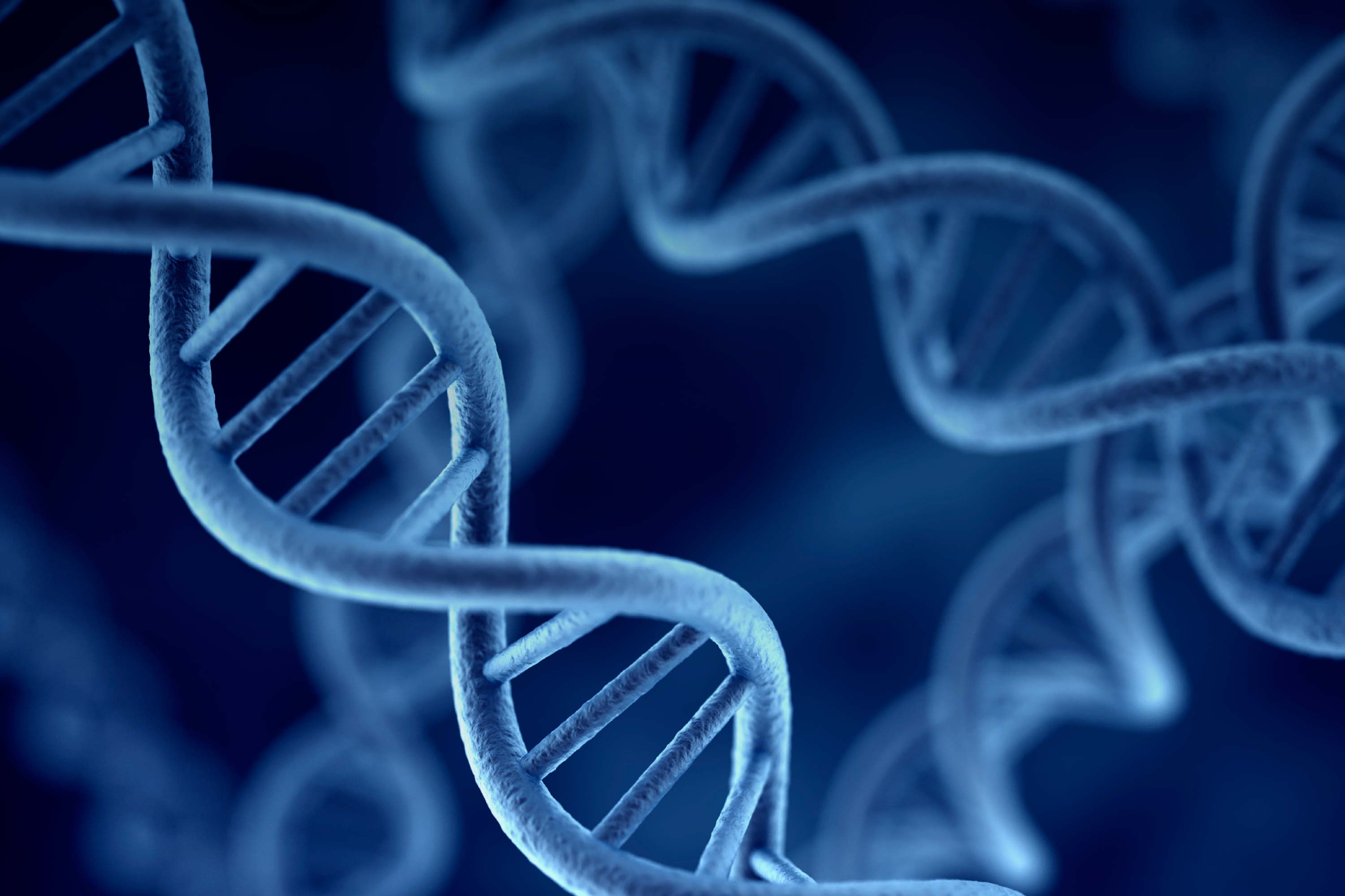 Ген геном генетические аппараты. Наследственность. Цепочка ДНК. Наследственность гены. Генетическая предрасположенность.