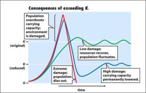Population limit consequences of exceeding carrying capacity