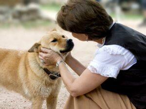 Dog – Human Communication Intentional vs Unintentional Cues