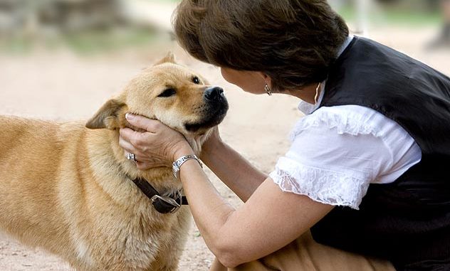 Dog – Human Communication Intentional vs Unintentional Cues Dog – Human Communication Intentional vs Unintentional Cues