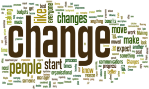 Implementation of Organizational Change