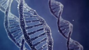 Collecting and Preserving DNA Evidence