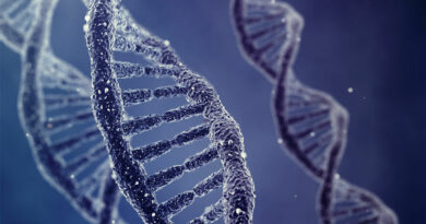 Collecting and Preserving DNA Evidence