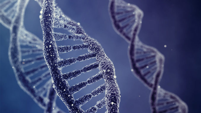 Collecting and Preserving DNA Evidence Collecting and Preserving DNA Evidence