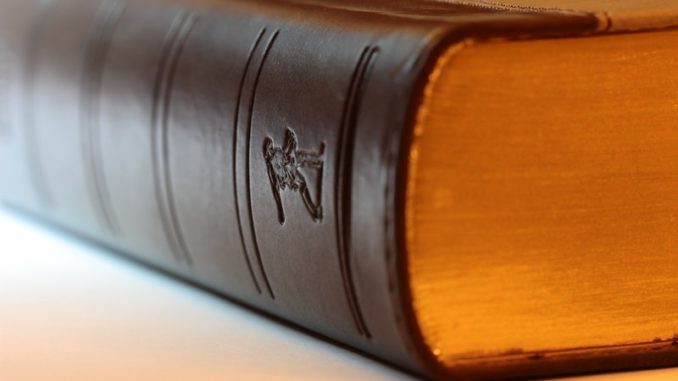 Negligence Tort Protection Against Negligent Conduct Negligence Tort Protection Against Negligent Conduct