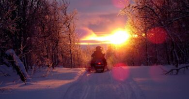 What is the Best Type of Snowmobile Repair Manual