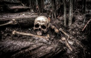 Is Human Nature Inherently Bad or Good
