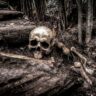 Is Human Nature Inherently Bad or Good