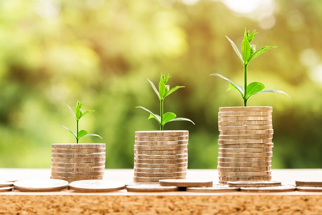Hedera’s Enterprise Focus: A Missed Opportunity for Retail Investors?