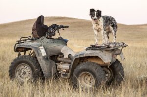 Troubleshooting Guide, Why Your ATV Won't Start