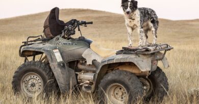Troubleshooting Guide, Why Your ATV Won't Start
