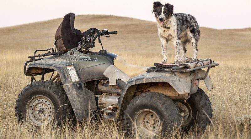 Troubleshooting Guide, Why Your ATV Won't Start